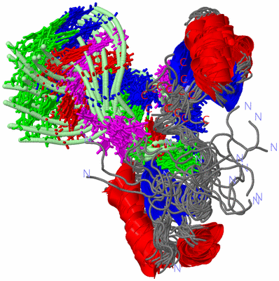 Image NMR Structure - all models