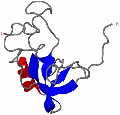 Image NMR Structure - model 1