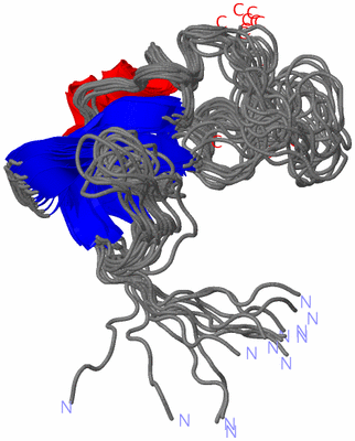 Image NMR Structure - all models