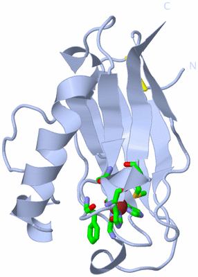 Image Biol. Unit 1 - sites