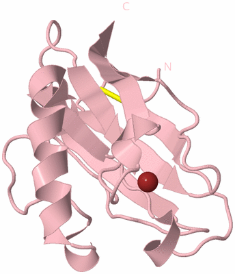 Image Biological Unit 3