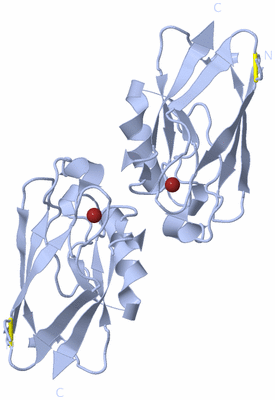 Image Biological Unit 5