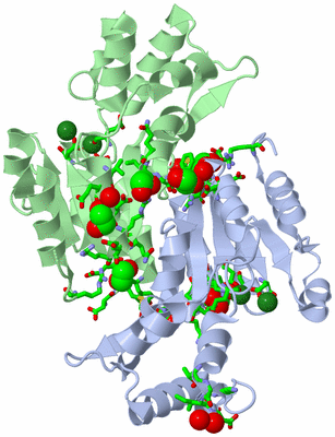 Image Asym./Biol. Unit - sites