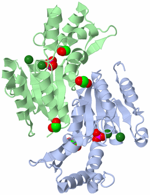 Image Asym./Biol. Unit