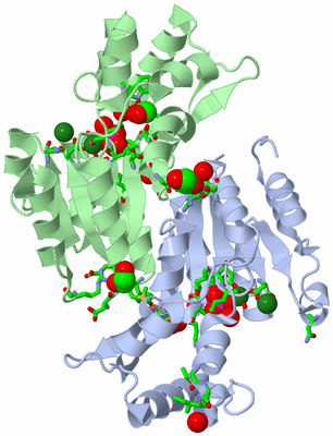 Image Asym./Biol. Unit - sites