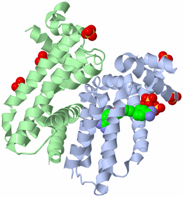 Image Biological Unit 1