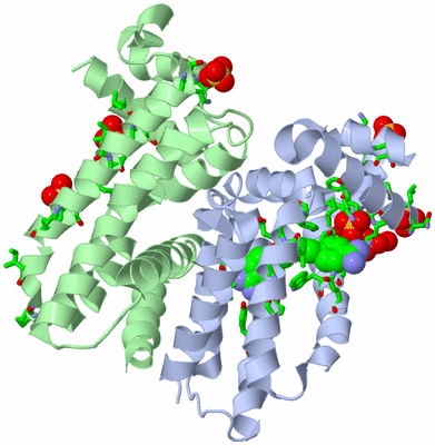 Image Biol. Unit 1 - sites