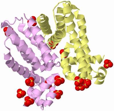 Image Biological Unit 2