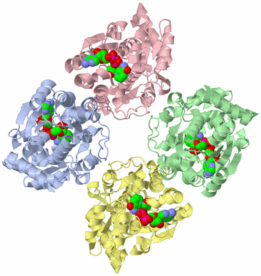 Image Asym./Biol. Unit