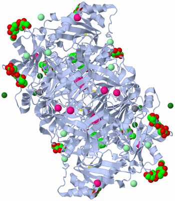 Image Biological Unit 1