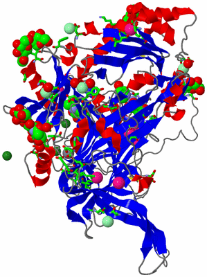 Image Asym. Unit - sites