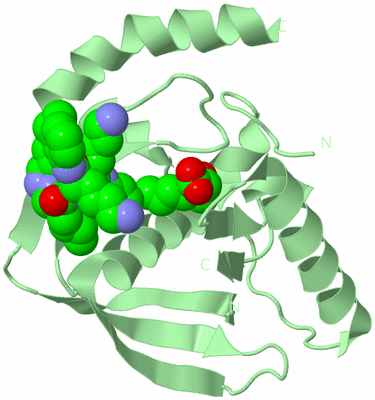 Image Biological Unit 2