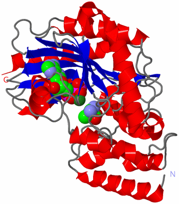 Image Asym./Biol. Unit