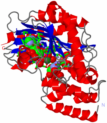 Image Asym./Biol. Unit - sites