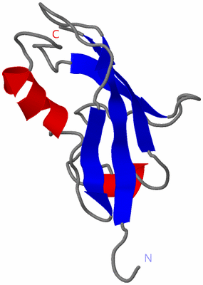 Image NMR Structure - model 1