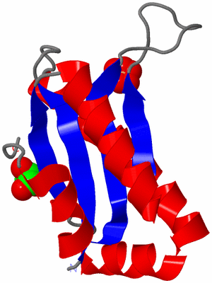 Image Asymmetric Unit