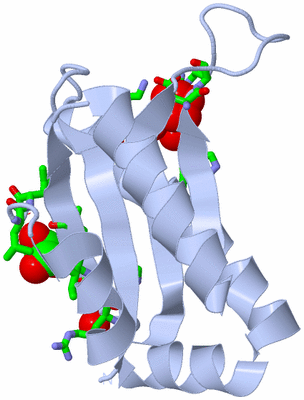 Image Biol. Unit 1 - sites