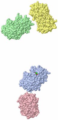 Image Asymmetric Unit