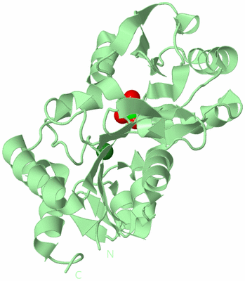 Image Biological Unit 2