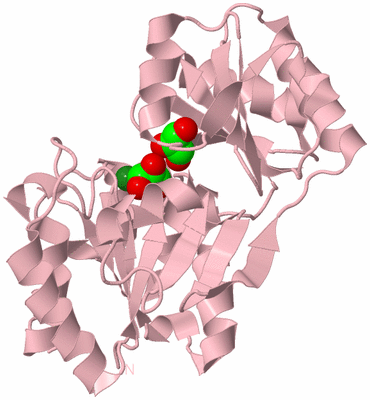 Image Biological Unit 3