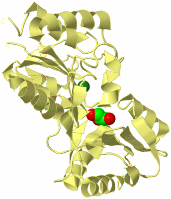 Image Biological Unit 4