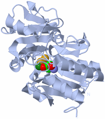Image Biological Unit 1