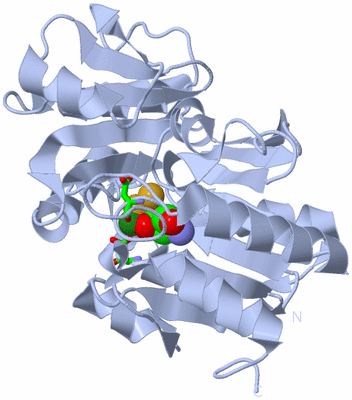 Image Biol. Unit 1 - sites