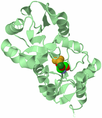 Image Biological Unit 2