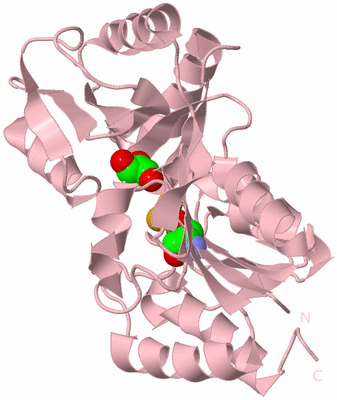Image Biological Unit 3