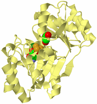 Image Biological Unit 4