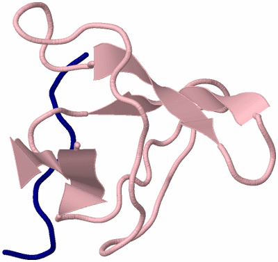 Image NMR Structure - model 1