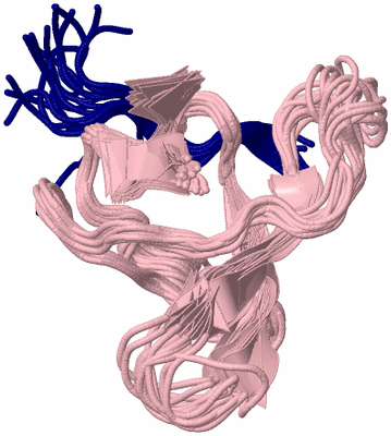 Image NMR Structure - all models