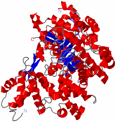 Image Asym./Biol. Unit