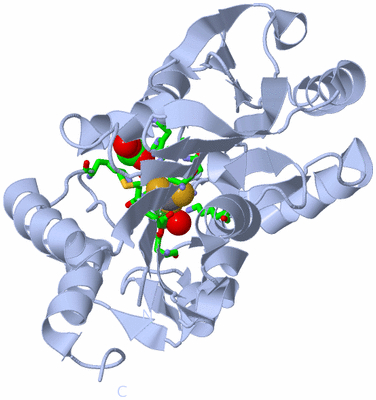 Image Biol. Unit 1 - sites