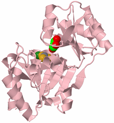 Image Biological Unit 3