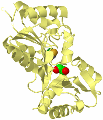 Image Biological Unit 4