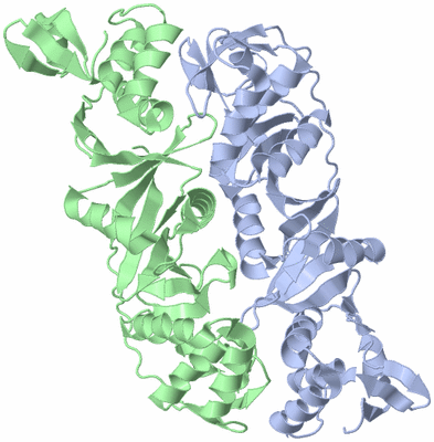 Image Asym./Biol. Unit