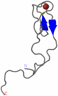 Image NMR Structure - model 1