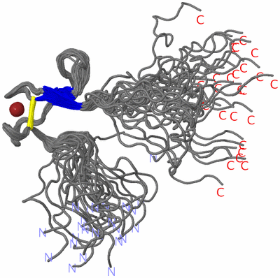 Image NMR Structure - all models