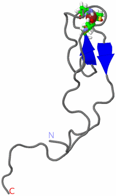 Image NMR Structure - model 1, sites
