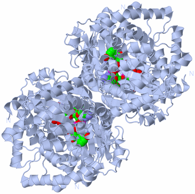 Image Biological Unit 1