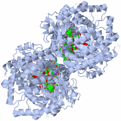 Image Biol. Unit 1 - sites