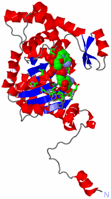 Image Asym. Unit - sites