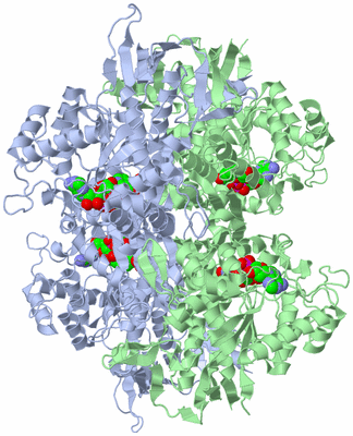 Image Biological Unit 1