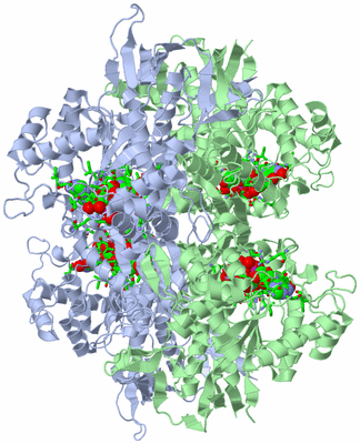 Image Biol. Unit 1 - sites