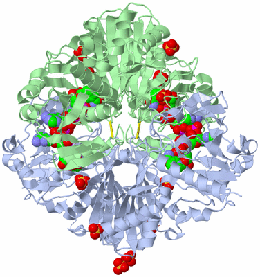 Image Biological Unit 1