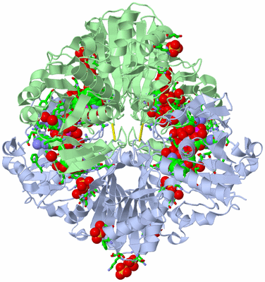 Image Biol. Unit 1 - sites