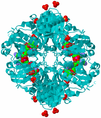 Image Biological Unit 2