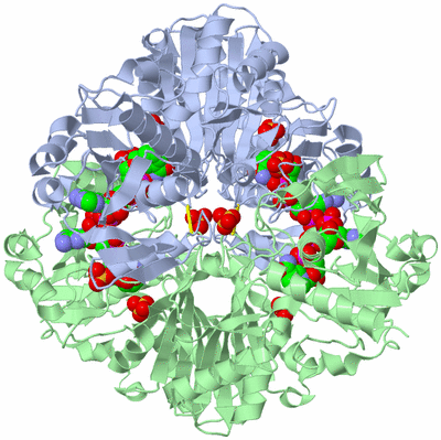 Image Biological Unit 1