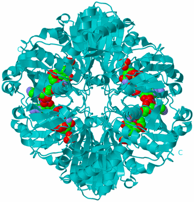 Image Biological Unit 2